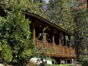 The Mini Cabin